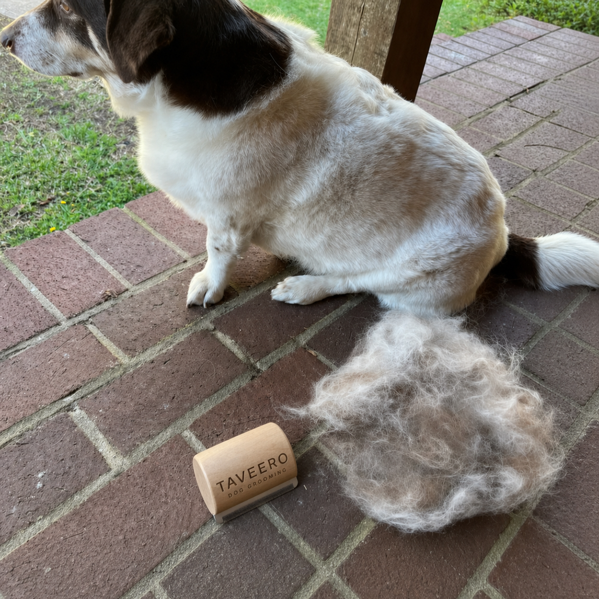 CoatSweep™ Pet Deshedding Grooming Brush Tool